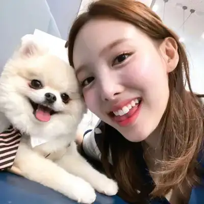 王芦雪